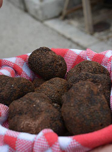 Panier de truffes à Lalbenque