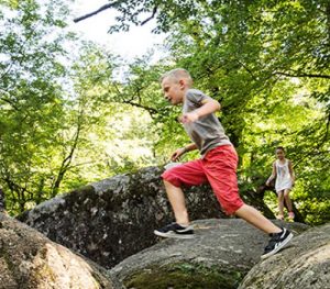 Sidobre, la rivière de rochers