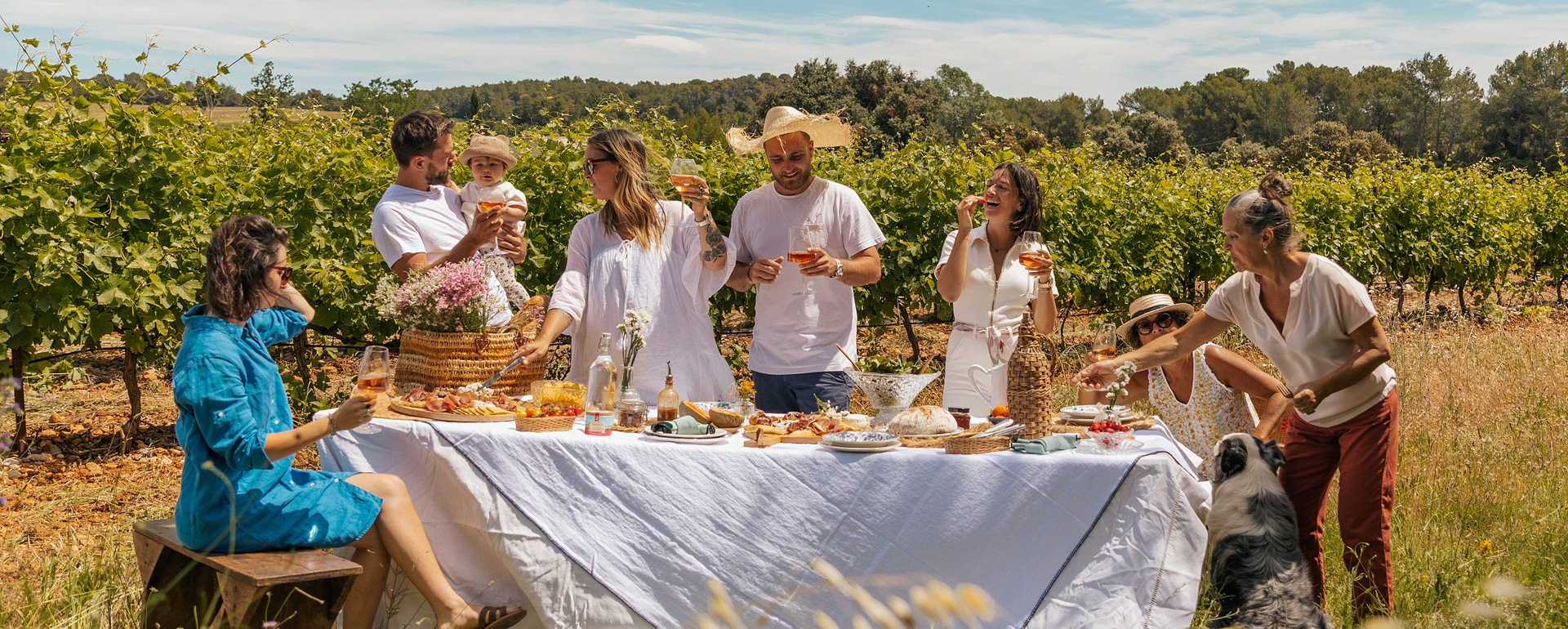 Repas dans les vignes Occitanie © Charlene Pelut / CRTL Occitanie