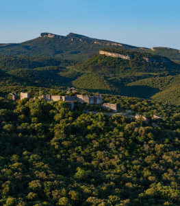 Allegre-les-fumades-chateau-d-allegre©DR