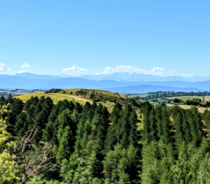 carbonne-paysage-pyreneesotiduvolvestre