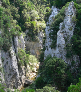 Gorges-de-Galamus©DR