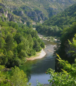 Riviere-sur-tarn-gorge-du-tarn©DR