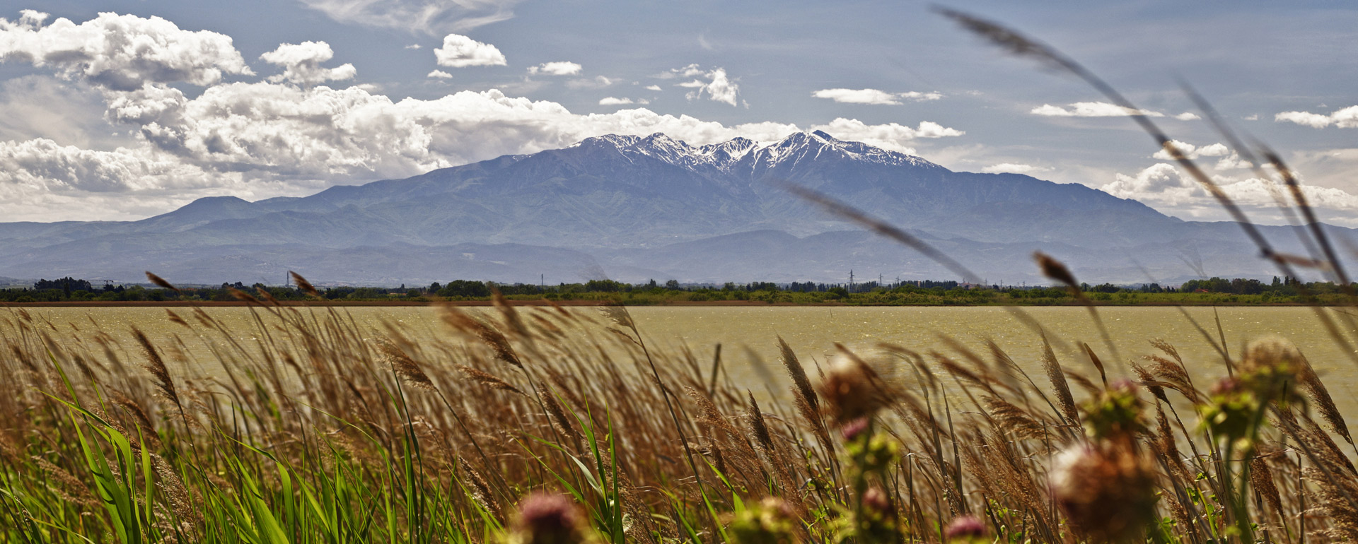 Massif du Canigou © Dominique Viet / CRTL Occitanie