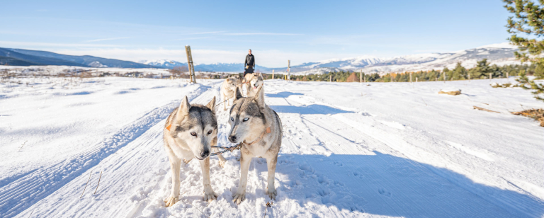 Winter in Occitanie