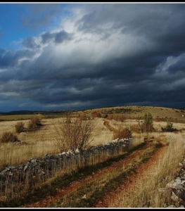 Causse-noir-Lanuejols©DR