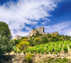 Chateau d'Aguilar - Tuchan © G.Deschamps - CRTLOccitanie