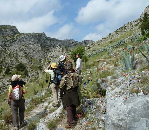 La Narbonnaise en Méditerranée