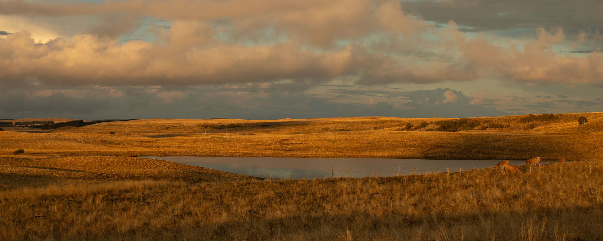 Aubrac : alentours du Buron de Cap Combattut - Lac de Saint-Andéol -Marchastel, Lozère