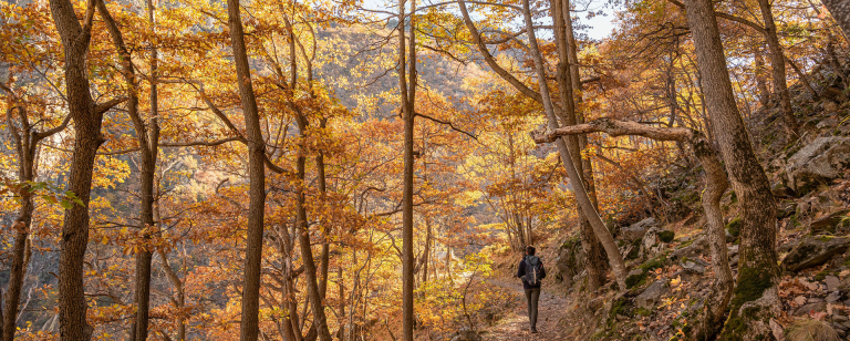 Automne en Occitanie